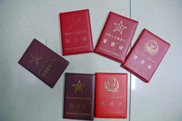 首存交流白菜